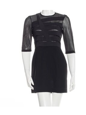 Markus Lupfer Sheer Mini Dress